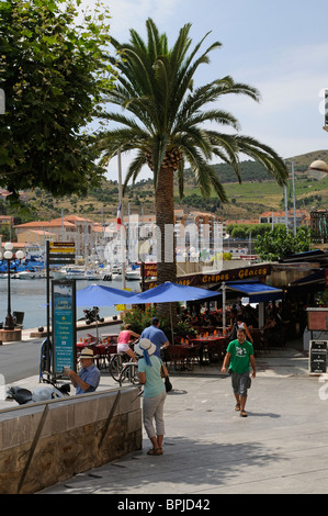 Port Vendres una cittadina di pescatori e località di villeggiatura balneare sulla Cote Vermeille Sud della Francia Foto Stock