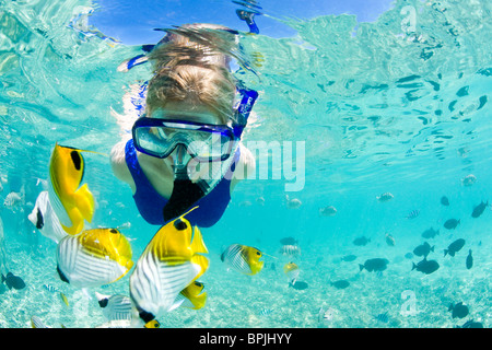 Laguna safari viaggio a fare snorkelling con marinelife - razze, piccoli squali blacktip e una varietà di colorati pesci di scogliera Foto Stock