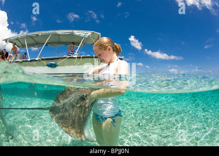 Laguna safari viaggio a fare snorkelling con marinelife - razze, piccoli squali blacktip e una varietà di colorati pesci di scogliera Foto Stock