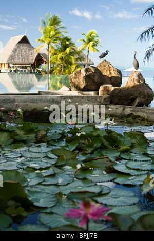 Area della piscina del Bora Bora Nui Resort. Foto Stock