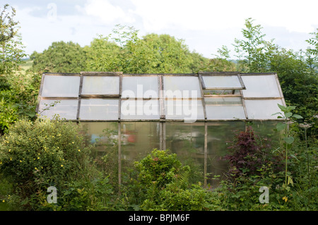 Su una vecchia serra in legno in una selva wild country garden. Foto Stock
