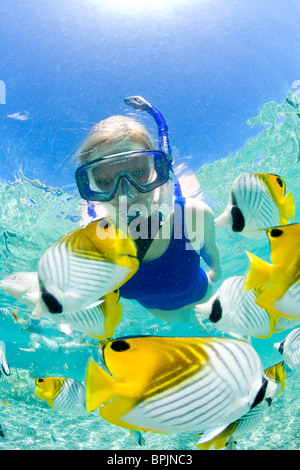 Laguna safari viaggio a fare snorkelling con marinelife - razze, piccoli squali blacktip e una varietà di colorati pesci di scogliera Foto Stock