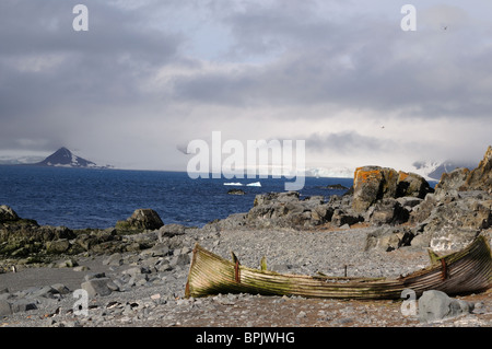Una vecchia nave baleniera condivide la spiaggia di ciottoli di Half Moon Island, Antartide, con pinguini Chinstrap. Foto Stock