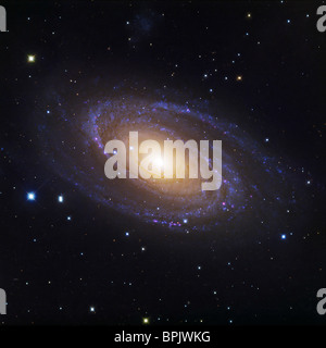 Bode di Galaxy Foto Stock