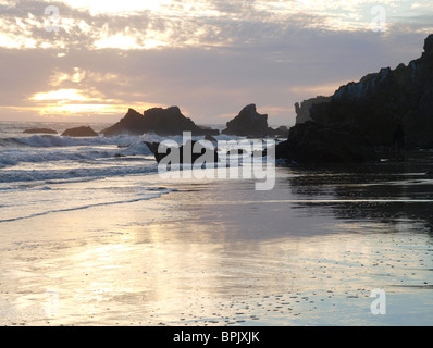 Crashing Surf sulla rocciosa costa della California. Foto Stock