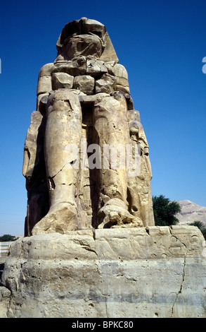 Uno dei due Colossi di Memnon presso la necropoli tebana di Luxor in Egitto superiore. Foto Stock