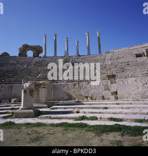 Anfiteatro di Leptis Magna, Libia Foto Stock
