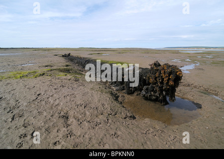 Chiglia del relitto di una nave, Appledore, Devon, Regno Unito Foto Stock