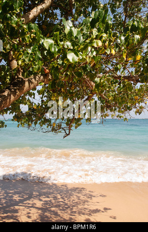 La vista dell'Oceano Indiano da Unawatuna Beach, Galle, Sri Lanka, presi durante una visita nel 2010. Foto Stock