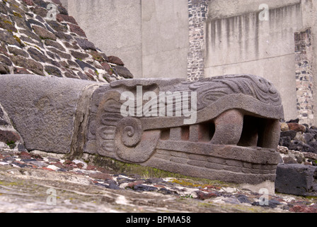 Piumati testa di serpente scultura presso le rovine Azteche del Templo Mayor o il grande tempio nel centro cittadino di Città del Messico Foto Stock