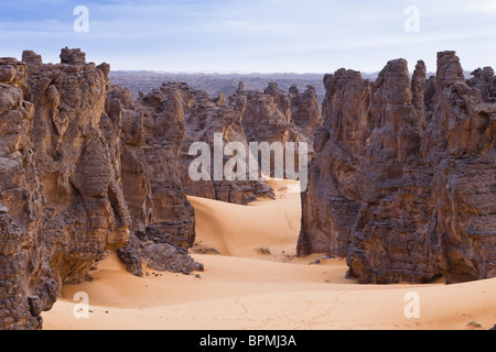 Deserto pietroso, Tassili Maridet, Libia, Africa Foto Stock