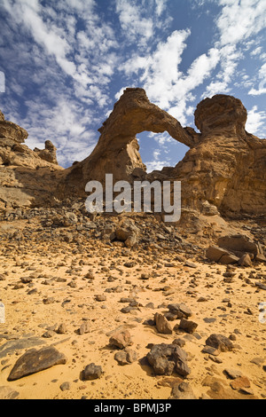 Deserto pietroso, Tassili Maridet, Libia, Africa Foto Stock