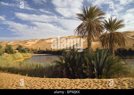 Il Mandara laghi nelle dune di Ubari, oasi Um el Ma, deserto libico, Libia, sahara Africa del Nord Foto Stock