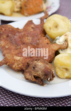 Un pasto tradizionale di cavia fritta, Aguas Calientes, vicino a Machu Picchu, Perù, Sud America Foto Stock