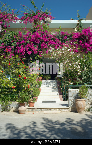 Display a colori dei fiori intorno a ingresso hotel Creta Grecia Foto Stock