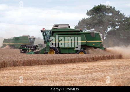 Una coppia di mietitrebbia a lavorare durante il grano stagione di raccolta Foto Stock