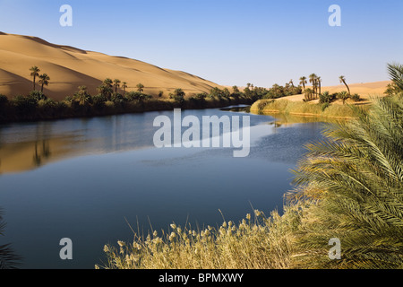 Il Mandara laghi nelle dune di Ubari, oasi Um el Ma, deserto libico, Libia, sahara Africa del Nord Foto Stock