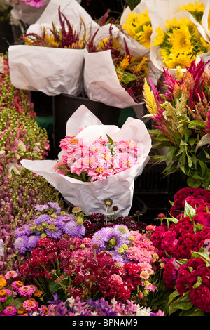 Pressione di stallo di fiori, Union Square Mercato degli Agricoltori, NYC Foto Stock