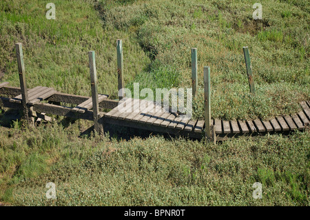 Il vecchio ponte di legno oltre l'erba crebbe fino cassa di espansione del fiume wyre estuary a Thornton lancashire Foto Stock