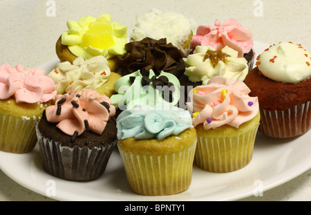 Una dozzina di varie tortine su una piastra bianca.include glassa di cioccolato, limone, fragola, verde, blu, giallo, rosa, noce di cocco Foto Stock