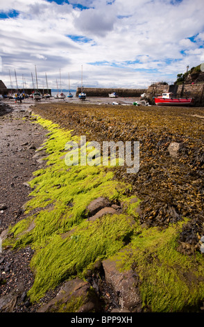 La sonnolenta porto nella città di Dysart sulla costa di Fife, Scozia Foto Stock