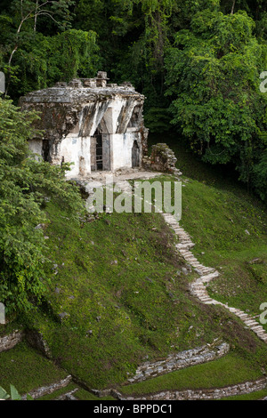 Tempio di foliated cross, le rovine Maya di Palenque, Messico Foto Stock