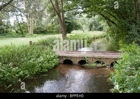 Il piccolo fiume Pant nella campagna dell'Essex Foto Stock