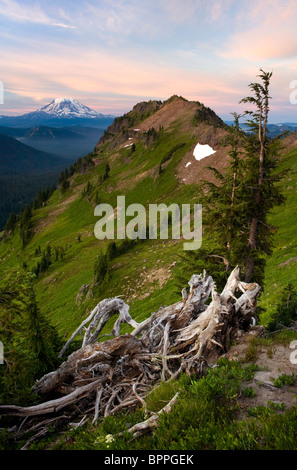 Rocce di capra deserto con una vista di Mt. Adams dalla cresta di capra, Washington, Stati Uniti d'America Foto Stock