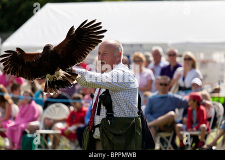 Dimostrazione di falconeria presso il village visualizza Foto Stock