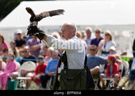 Dimostrazione di falconeria presso il village visualizza Foto Stock