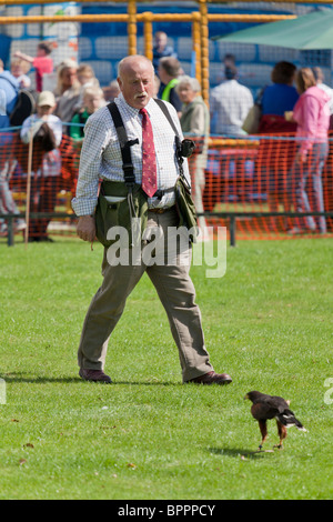 Dimostrazione di falconeria presso il village visualizza Foto Stock