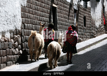 Il quechua signori in abito tradizionale con llama (Lama glama) a piedi lungo una strada con mura Inca , Cusco, Perù Foto Stock