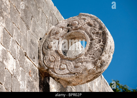 Grande palla, Gran Juego de Pelota, Chichen Itza rovine, Yucatan, Messico Foto Stock