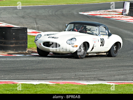 E type Jaguar Race Car negozia Brittens ad Oulton Park Motor Racing circuito Cheshire England Regno Unito Regno Unito Foto Stock