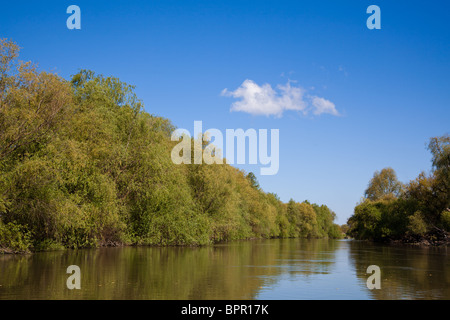Bellissimo paesaggio estivo nel Delta del Danubio, Romania. Foto Stock