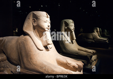 L'Italia, Torino, le staue sala del Museo Egizio Foto Stock