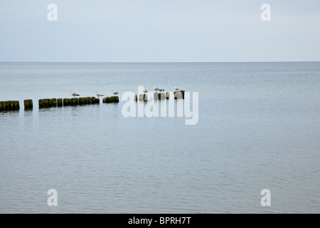 I frangiflutti sono strutture costruite sulle coste come parte di difesa costiera o per proteggere un ancoraggio di effetti del meteo Foto Stock