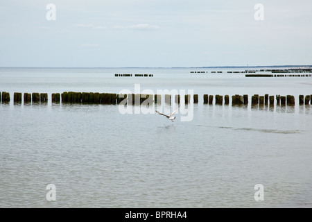 I frangiflutti sono strutture costruite sulle coste come parte di difesa costiera o per proteggere un ancoraggio di effetti del meteo Foto Stock