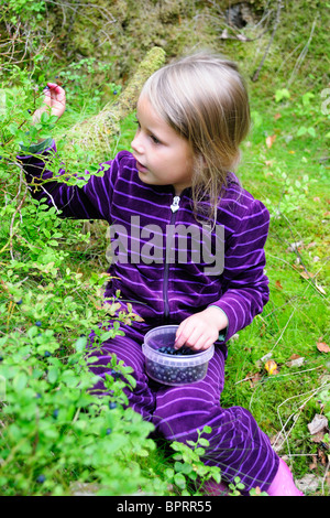 Giovane ragazza bionda picking i mirtilli in Norvegia Foto Stock