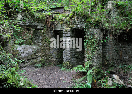 Gli edifici di vecchia costruzione a Fussells' opere inferiore, Mells, Somerset prodotti utensili in ferro da 1744 a 1895 Foto Stock