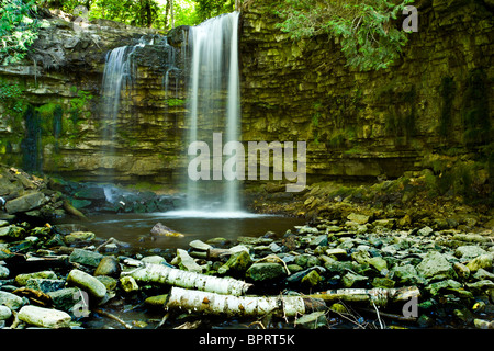 Hilton Falls Area di conservazione. Milton in Canada Foto Stock