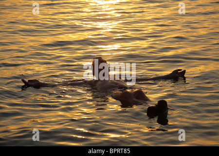 L'uomo fluttuante nel mar morto al tramonto, Giordania Foto Stock