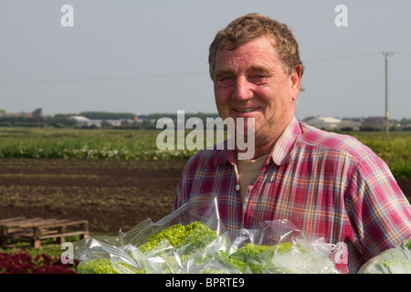 Aziende agricole e di allevamento   Mercato Mercato del giardinaggio a Tarleton, West Lancs, Lancashire, Preston, Regno Unito Foto Stock