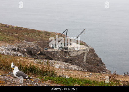 Gru e banchina di carico lungo le scogliere di Anacapa Island, Channel Islands National Park, California, Stati Uniti d'America Foto Stock