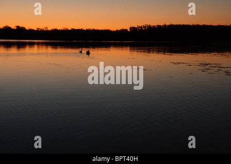 Sunset Jervis Bay Australia Foto Stock