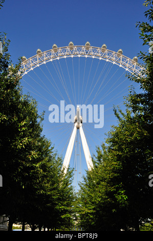 Coca-Cola London Eye, Southbank, London, Regno Unito Foto Stock