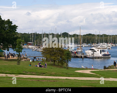 Scudo del disco sul fiume Beaulieu Inghilterra Hampshire REGNO UNITO Foto Stock