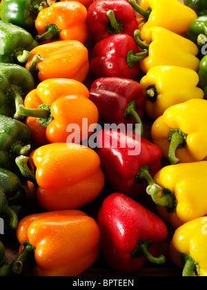 Miscelati rosso, verde, giallo e arancione freschi peperoni foto, foto e immagini Foto Stock