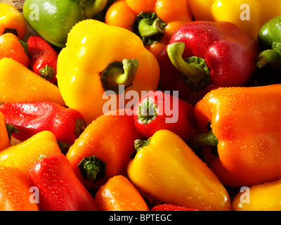 Miscelati rosso, verde, giallo e arancione freschi peperoni foto, foto e immagini Foto Stock