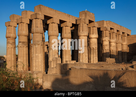 Hypostle hall con la chiusa di colonne di papiro, Tempio di Luxor, Tebe, l'Egitto, in Arabia, in Africa Foto Stock